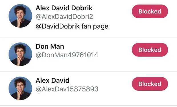 twitter-bot-spamming-david-dobrik-channel
