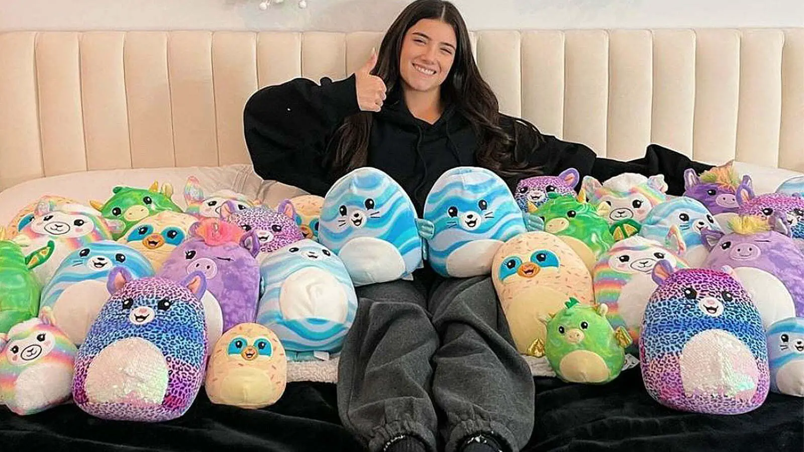 Charli-DAmelio-squishmallows-collection-is-the-new-controversy