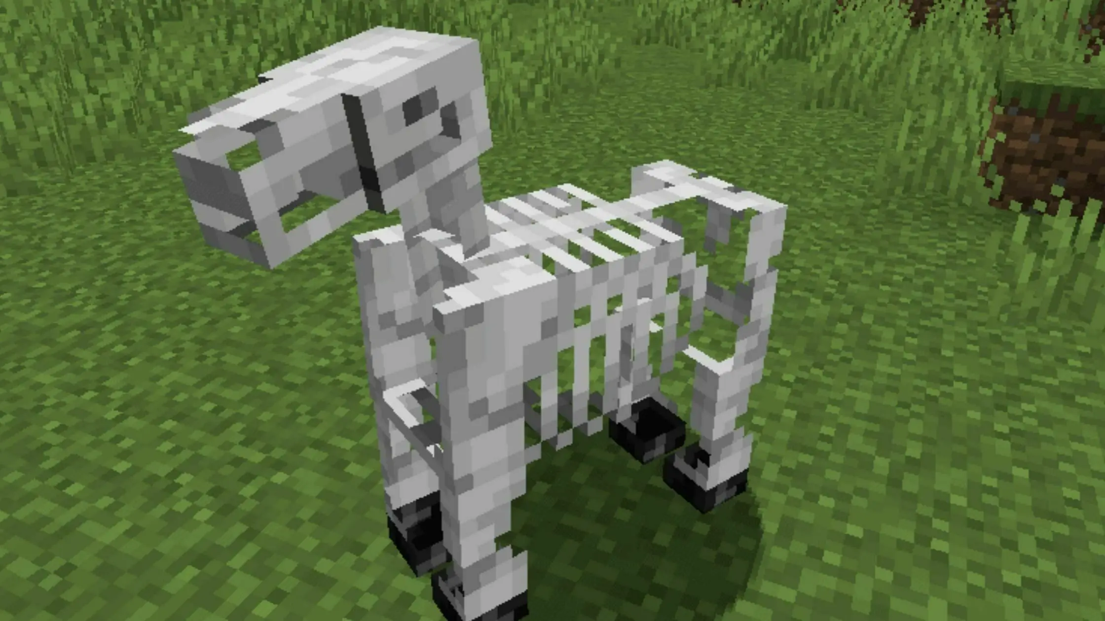 skeleton-horses-in-minecraft-everything-you-need-to-know