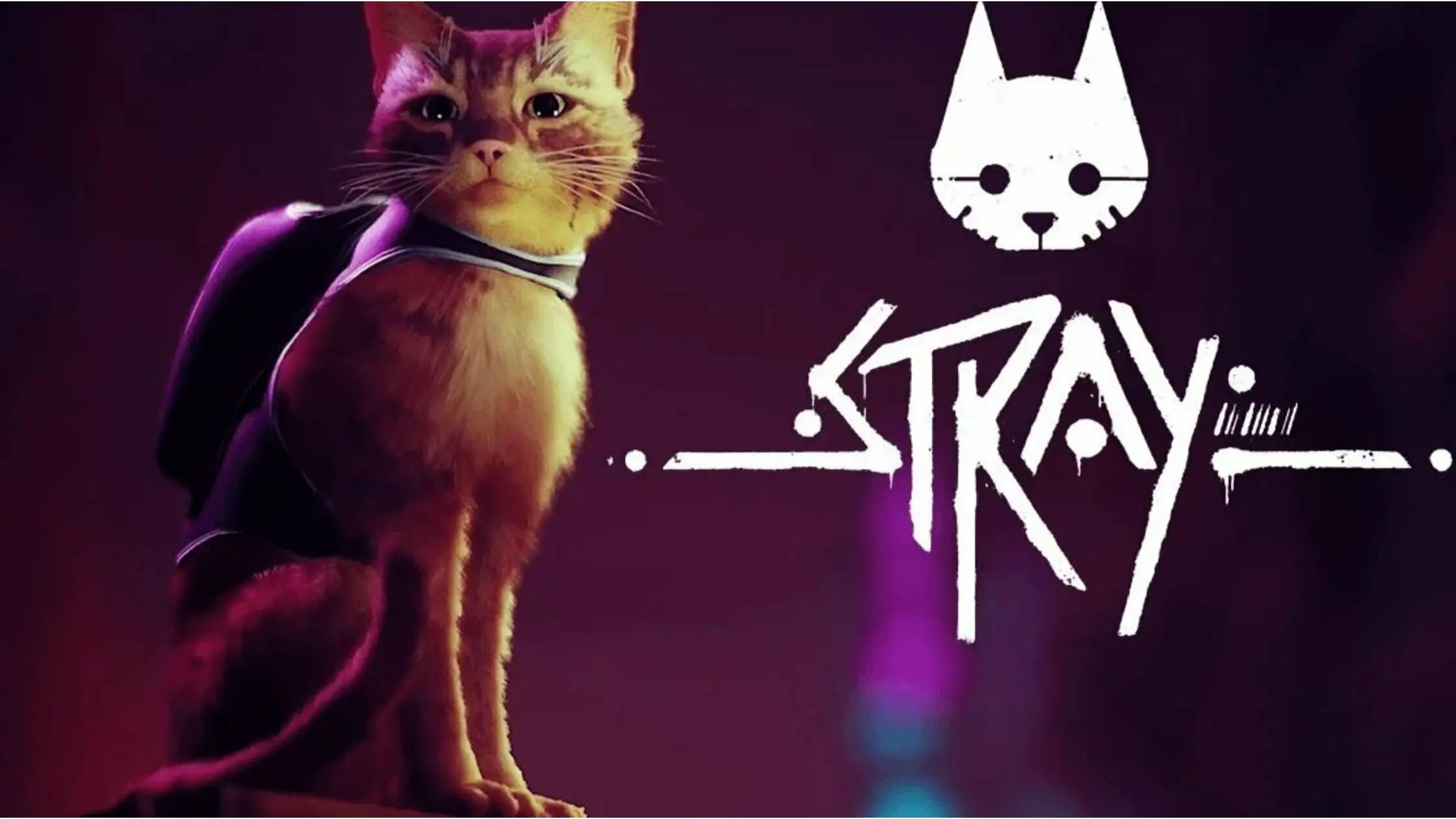 stray-release-date-gameplay-trailers-and-more